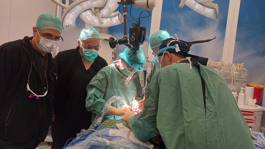 הגורמים האפשריים לכאבים בלסת התחתונה בצד שמאל