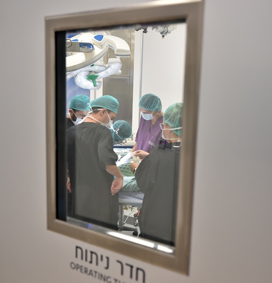 אז אם אין עצם, איך בכל זאת משתילים?